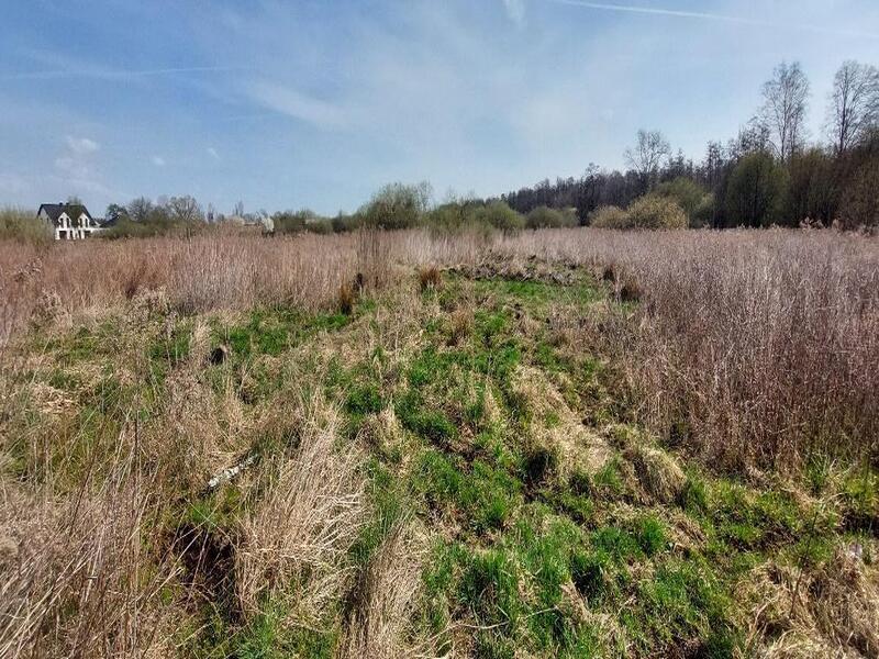 Zdjęcie ilustrujące działalność kancelarii restrukturyzacyjnej.